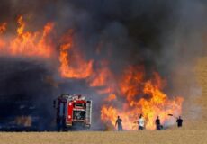 هشدار سازمان آتش نشانی در خصوص افزایش محسوس دما